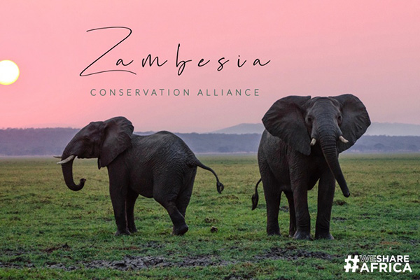 Zambesia Conservation Alliance
